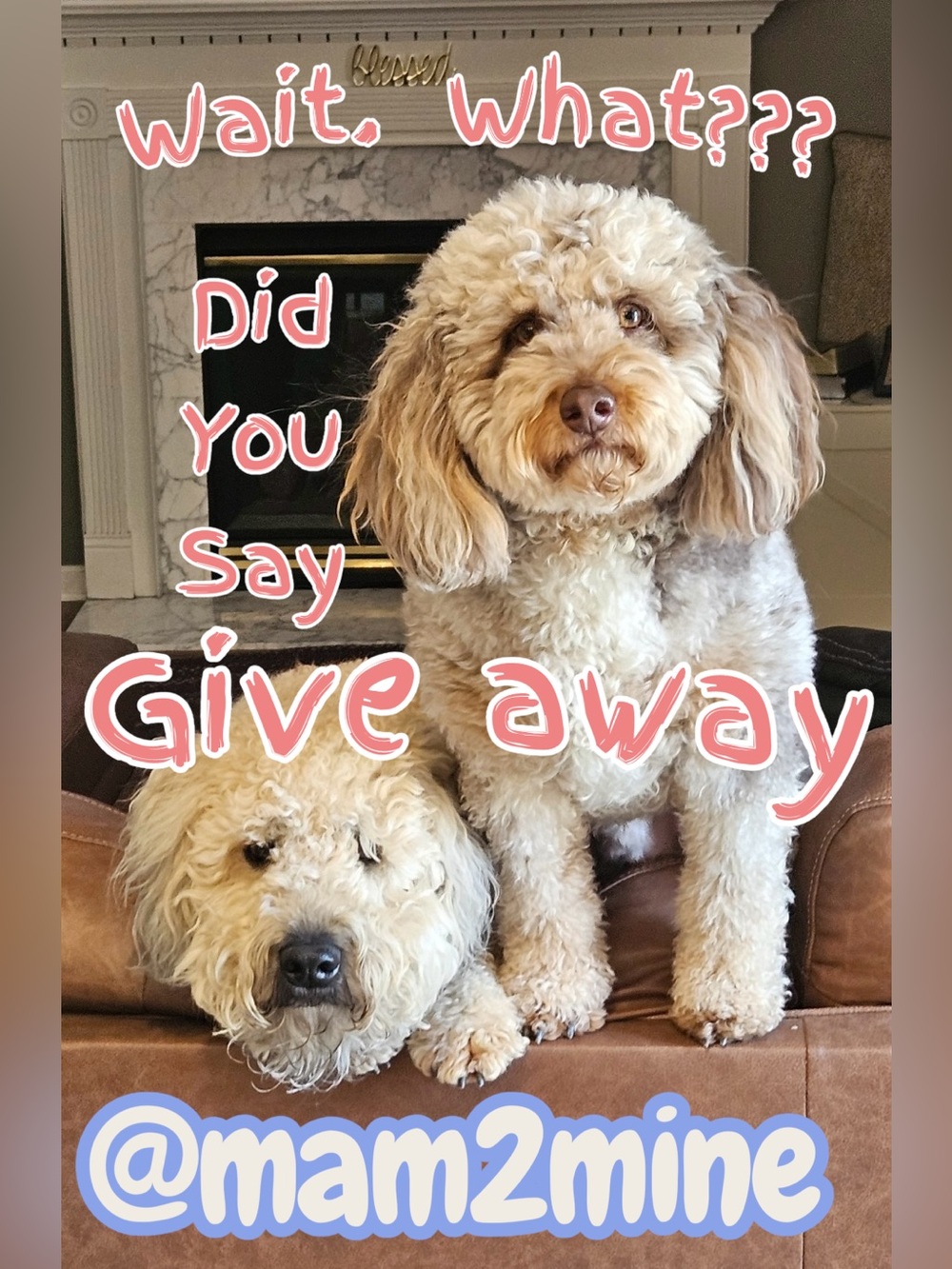 Giveaway from @mam2mine